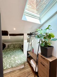 Loft Hortensia Climatisé hyper Centre Castres - Castres - 9