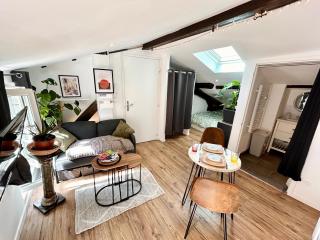 Loft Hortensia Climatisé hyper Centre Castres - Castres - 0