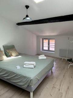 Joli appartement en centre-ville - Le Puy-en-Velay - 4