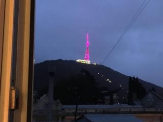 Bright Quiet Flat with Beautiful views at Liberty Square - Tbilisi - 0