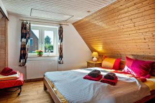 Öko Fewo Lachmöwe - 1