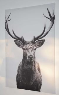 Ferienwohnung Kleine Fluchten - 7