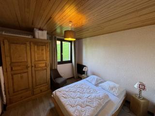 HAMEAU DES 4 SAISONS HSC113 MOUNTAIN & VIEW 6 Pers - Châtel - 9