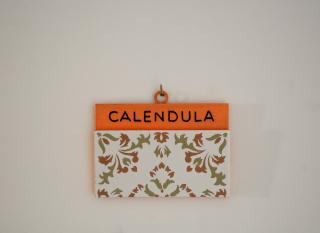 B&B Il Giardino di Circe - Filadelfia (VV) - 7