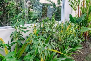 Svasti - 5 Min To Beach, Tranquil Riverside Sanctuary - Canggu - 5