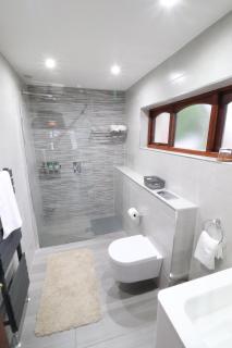 Mossvale Lodge Country House Bed and Breakfast - Antrim - 1