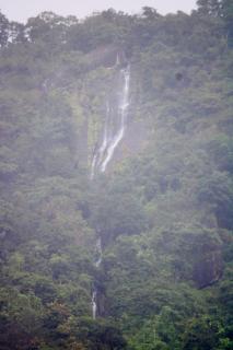Mist Farm House - Kudayattūr - 3