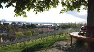 Ferienwohnung Auf dem Hirtle - Meersburg - 7