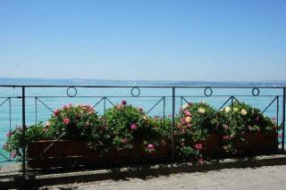 Ins Fischernetz - Meersburg - 3