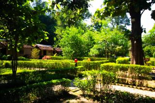 Wild Planet Eco Retreat - Bhurkīā - 7