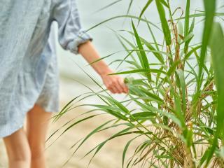 Avali, Mar-Bella Collection - 5