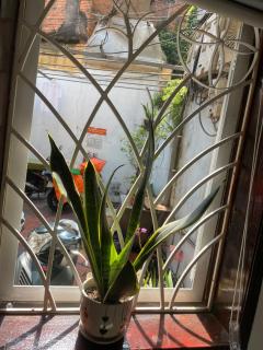 May house - 9