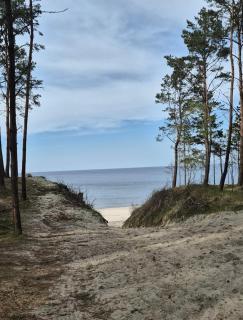 Apartament Bike w Sztutowie - 3