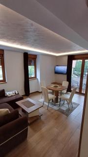Forest 11 apartman - Zlatibor - 8