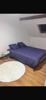 Joli maison refait à neuf #1 - Vierzon - 1