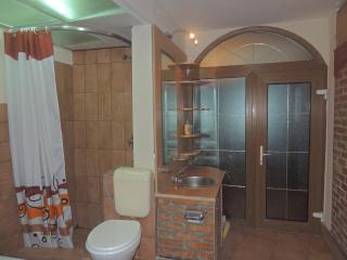 Old town apartment - Sibiu - 3