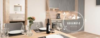 Bergnest Oetztal Appartements Hemerkogel - Umhausen - 9