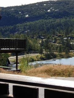 4-roms leilighet sentralt på Bortelid - Tjaldal - 7