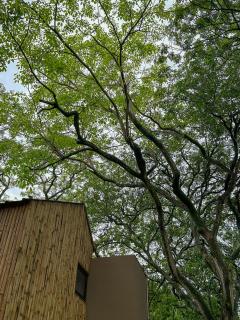 Unique Tiny House-Best Beach in El Zonte - 2