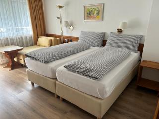 Hotel Adonis - Zermatt - 7