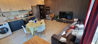 AmurResidence Sauna Family Luxury 64 freeParking - Iaşi - 9