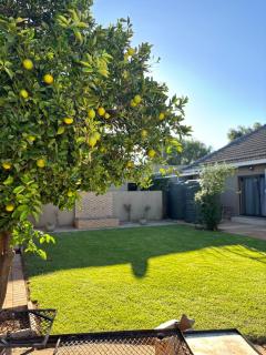 Carstens Garden Cottages - Kimberley - 0