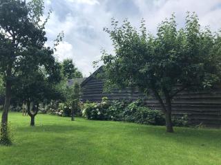 SereenRetreat voor focus en rust - Barneveld - 7