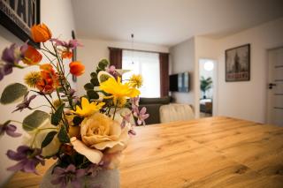 Apartament Bellissima - Bielsko-Biała - 8