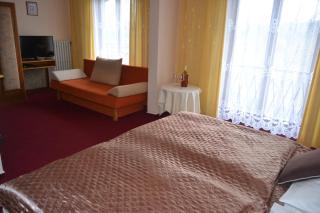 Resort Hotel Zvíkov - Zvíkovské Podhradí - 4