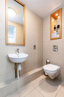 Pent House Roof Top Balcony City Centre Apt - Sheffield - 1