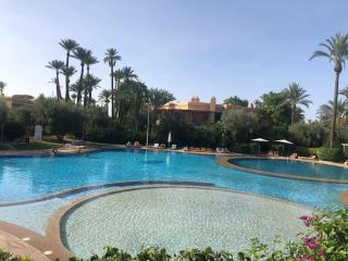 Appartement palmeraie - 0