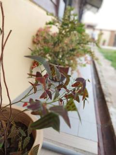 Ipoh Buntong Corner homestay - Ipoh - 2