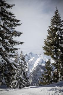 Zederberg Appartements - 5