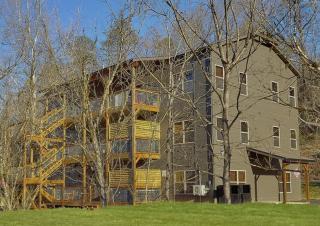 A Lodge at The Glades 12 BR Cabin Private Indoor Pool Hot Tubs Game Rooms and Theater Room - Gatlinburg - 8