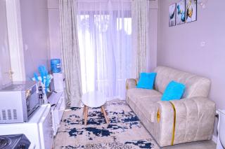 Nabs Furnished Apartment - Kiambu - 6