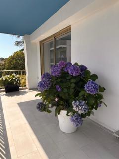 Manon B&B - Roquebrune-Cap-Martin - 3