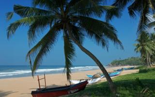 Mihinsa Guest - 6