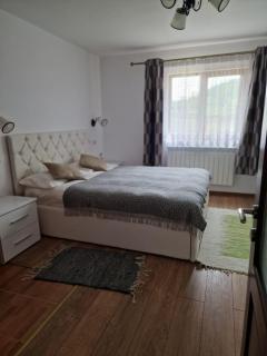Bucovina-MountainHouse-5BR-Fireplace-HotTub-WiFi - Suceviţa - 4