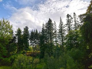 Fersit Log Cottage - Inverlair - 5