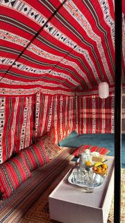 Al Wahiba Sands Camp - 5