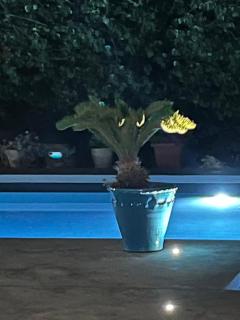 L'ANNAMARCO private storical Trullo and Property with large & nice swiming-pool - Ostuni - 2