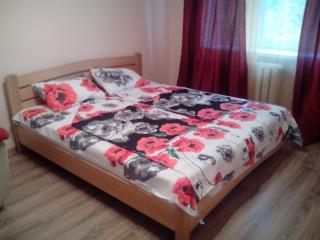 Apartment Syrec - Kiev - 0