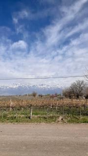 Casa Vino Andino - La Consulta - 6