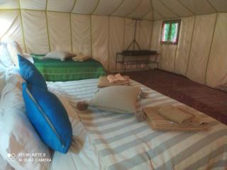Berber Camp Merzouga - Merzouga - 1