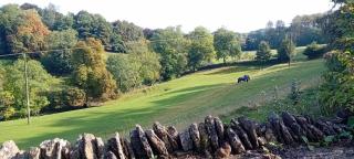 Hill House - Banbury - 3