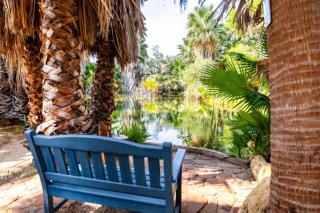 Tucson's Hot Springs at The Oasis - 2
