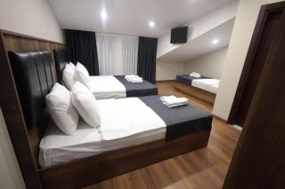 BZN Airport Hotel - Arnavutköy - 4