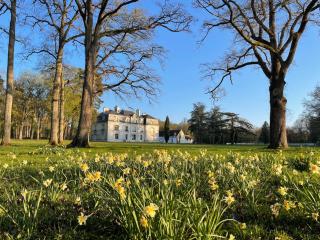 Les Hayes en Sologne - Fontaines-en-Sologne - 5