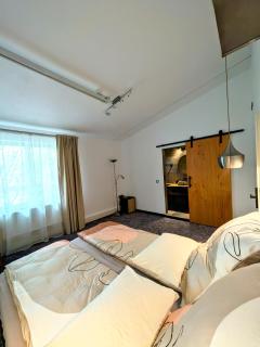 Casa din padure - Orşova - 1