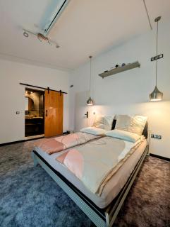 Casa din padure - Orşova - 4